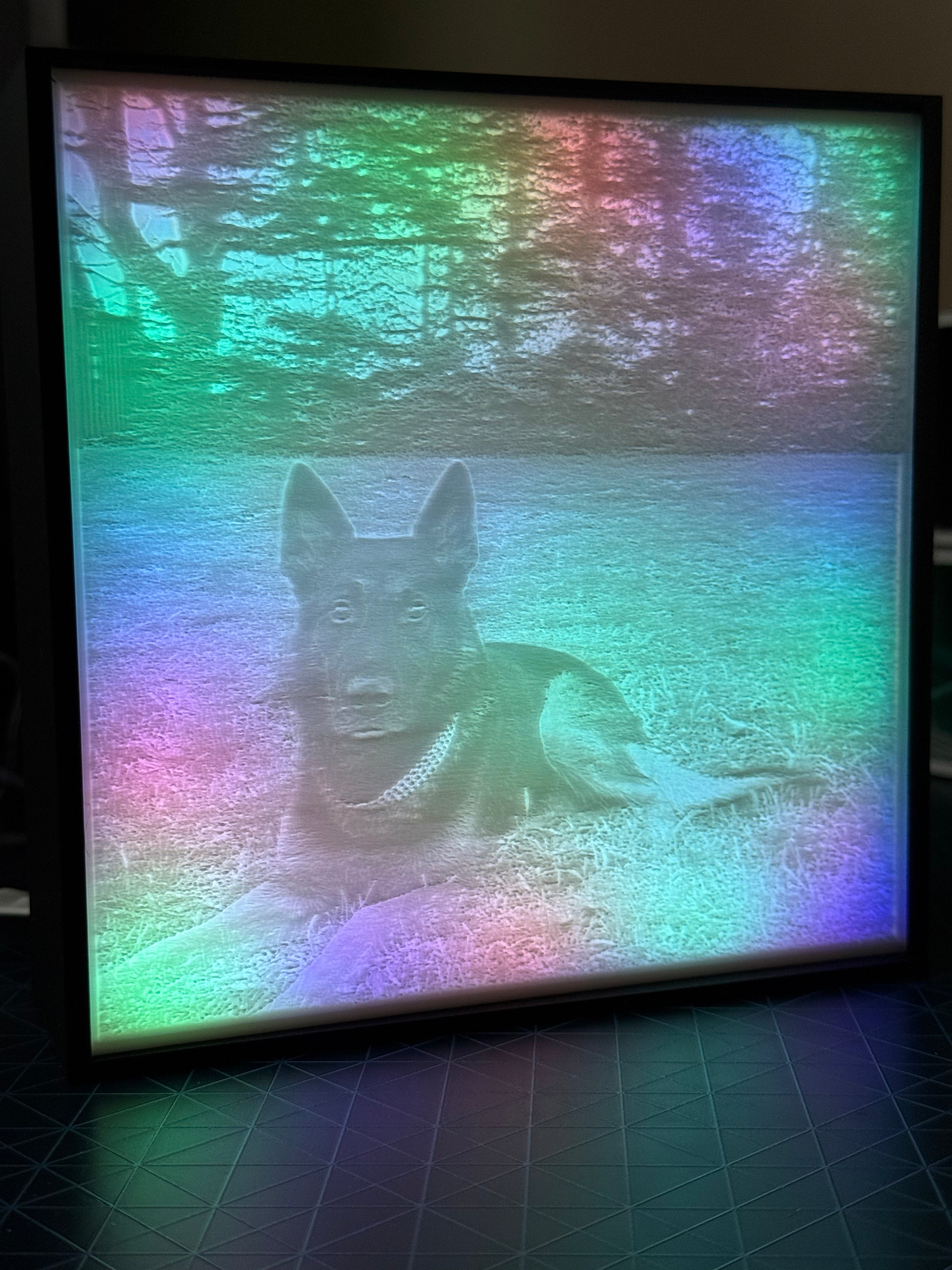 Custom Pet Lithophane