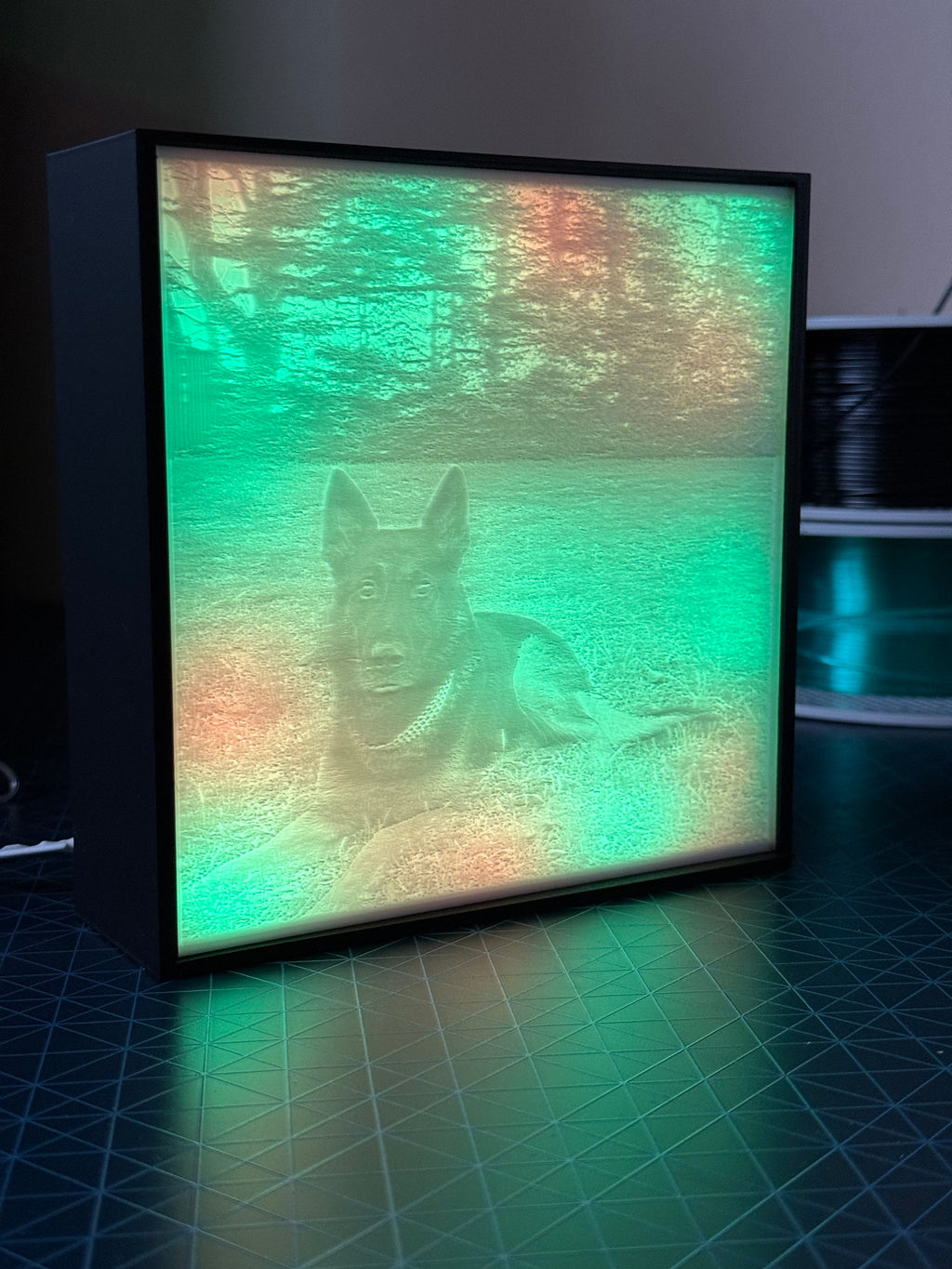 Custom Pet Lithophane