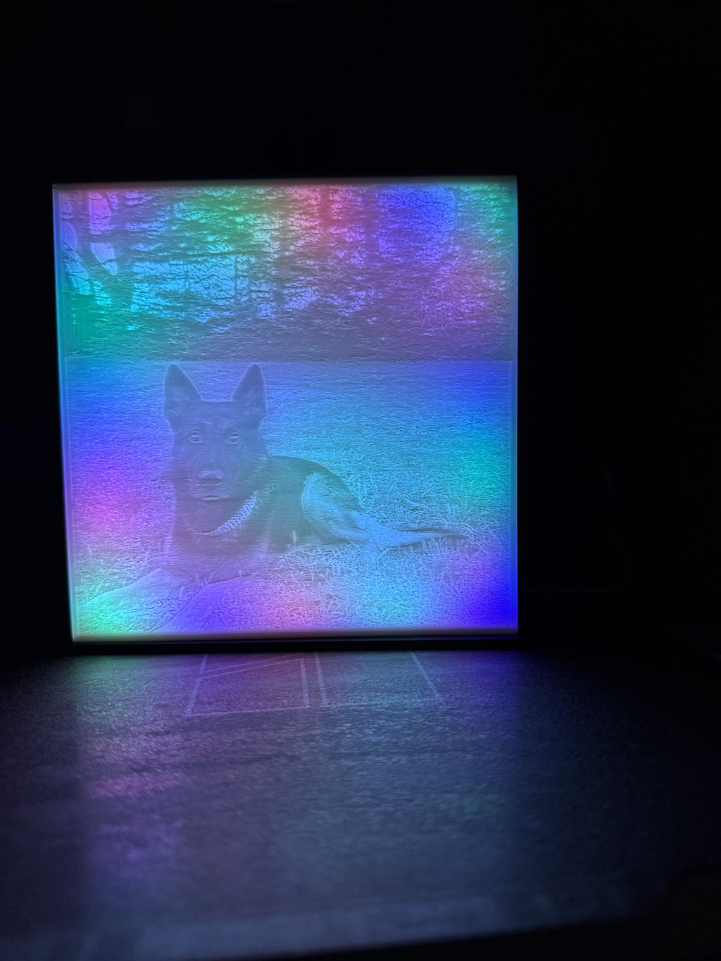 Custom Pet Lithophane