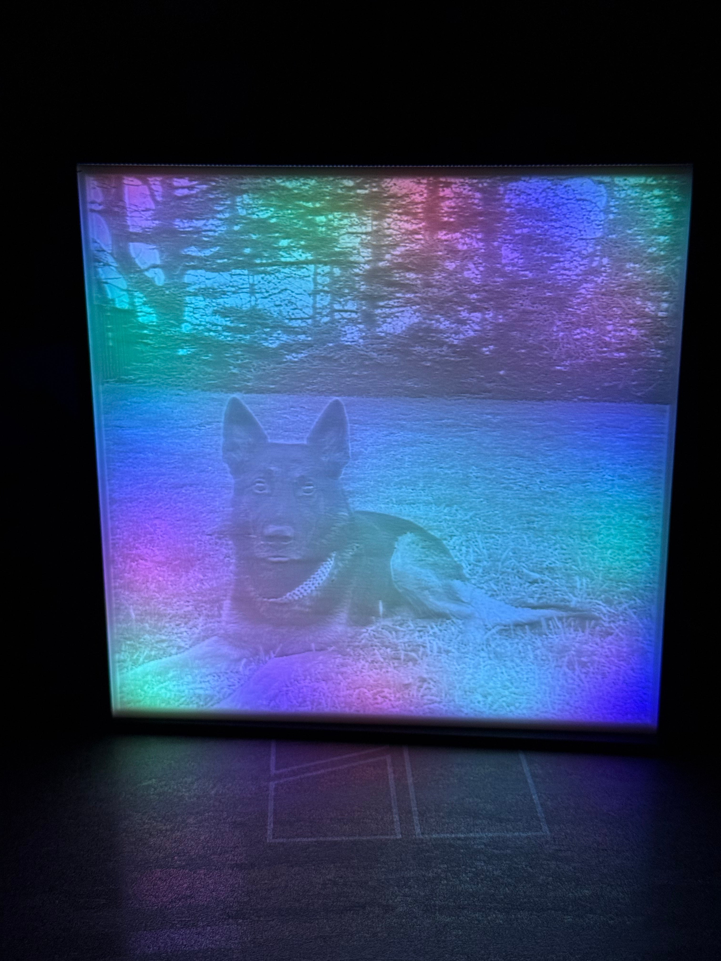 Custom Pet Lithophane