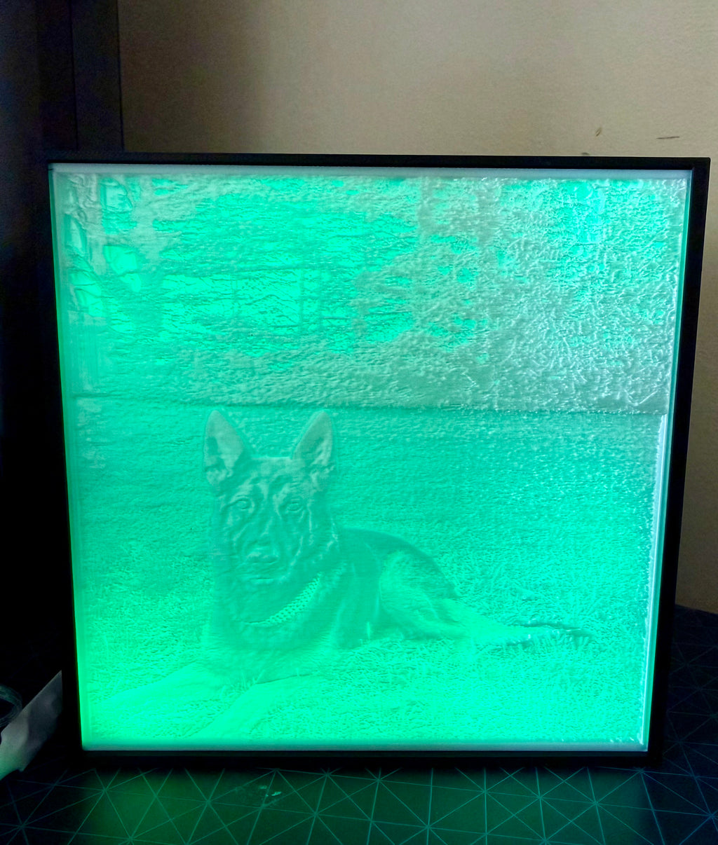 Custom Pet Lithophane