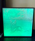 Custom Pet Lithophane
