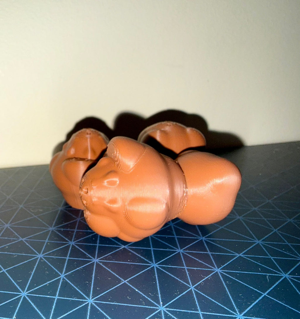 3D printed truffle training aid close-up